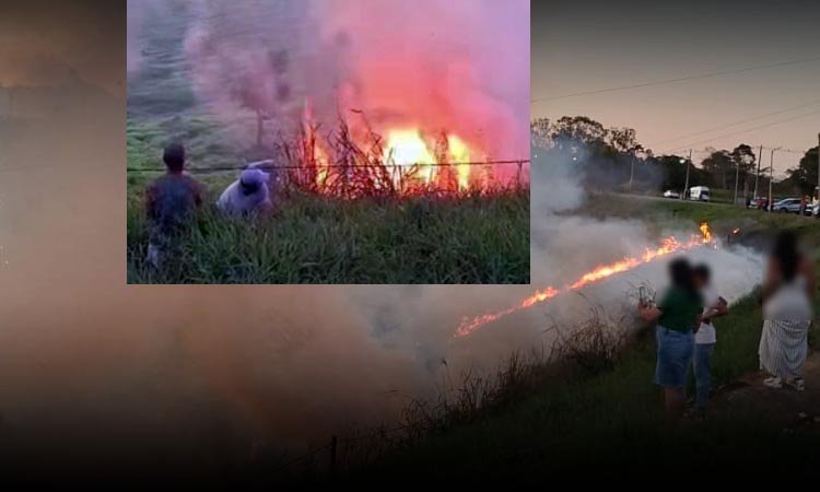 VÍDEO: “Chá de revelação” termina em incêndio de grandes proporções no Rancho Pamonha do Marçal